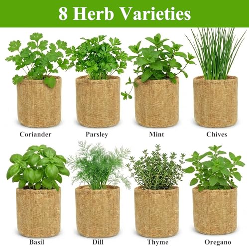 Indoor Herb Garden Kit