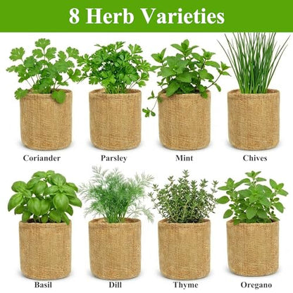 Indoor Herb Garden Kit