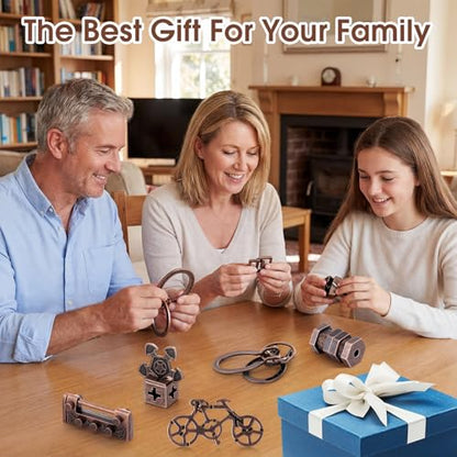 9 Pcs Metal Brain Teasers 3D Steel Puzzle Set (9 Count)