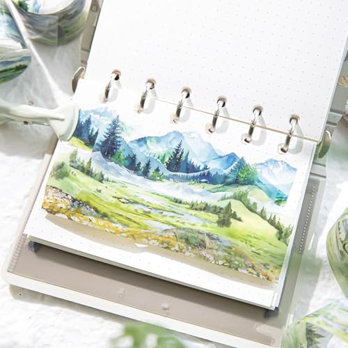 6 Rolls Landscape PET Tape