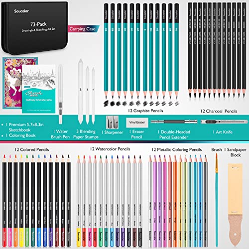 73Pcs Art Supplies Drawing Kit Sketch Pencils Set Adults Gift (73 Count)