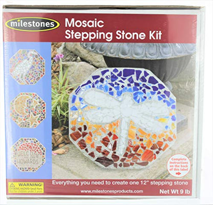 Mosaic Stepping Stone Kit