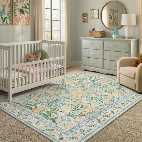 Washable 5x7 Area Rugs