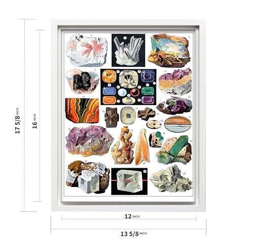 Vintage Geology Canvas