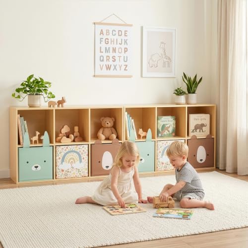 6 Cube Storage Organizer