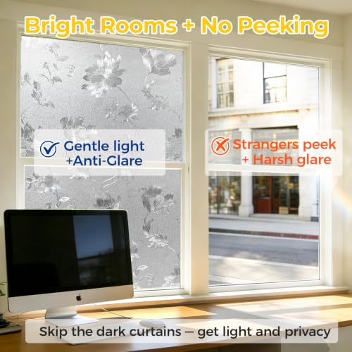 Window Privacy Film Decorative for Front Door