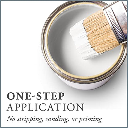 Chalk Based One Step Paint for Furniture (16 Fl Oz)