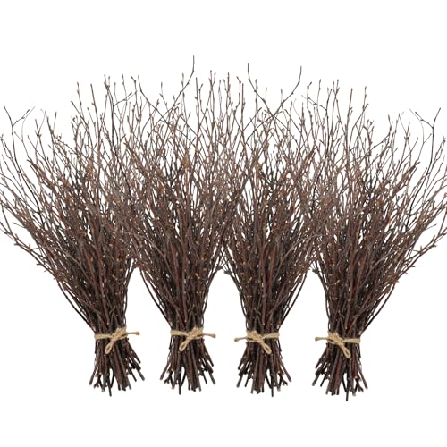 200PCS Birch Twigs (200 Count)