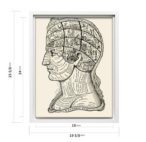 A Symbolic Head Phrenology Print 1899