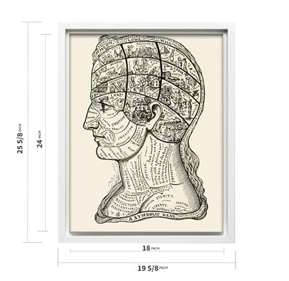 A Symbolic Head Phrenology Print 1899