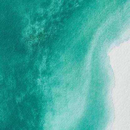 Professional Watercolor