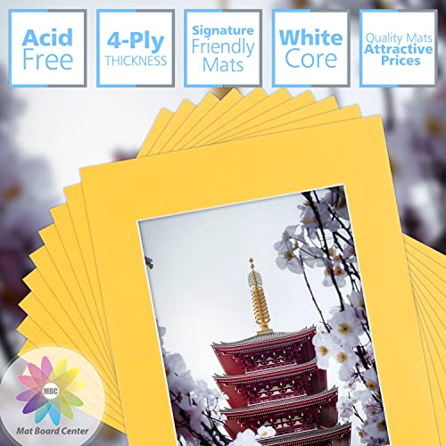 Mat Board Center 10 Pack 11x14 Photo Mats for 8x10 Picture (10 Count)