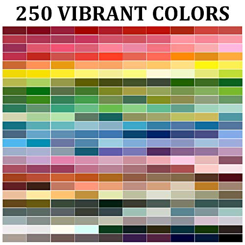 403 Pack Embroidery Kits for Adults