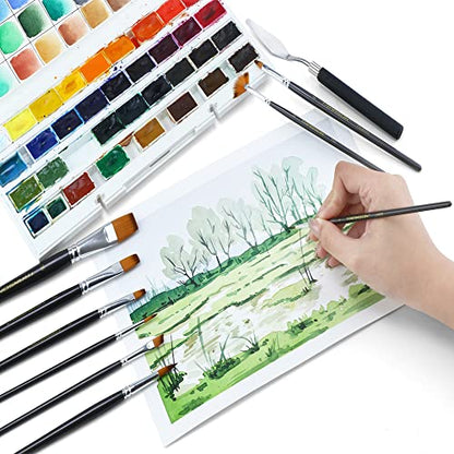Paint Brush Kit 10pcs Art Brushes and 1 Paint Spatula with Brush Case