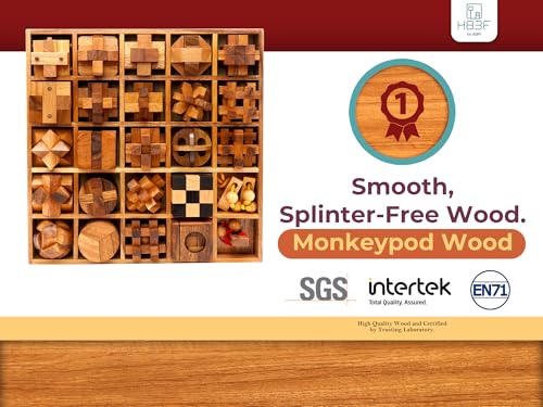 25 in 1 Wooden Brain Teaser Puzzles for Adults and Teens Interlocking 3D Mini Wood Mind Games Hand and Mind Puzzle Teasers Assembly & Disentanglement Set Toys Coffee Table Games Gift