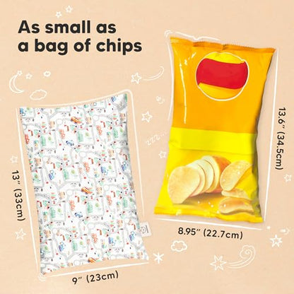 Mini Toddler Pillow with Pillowcase