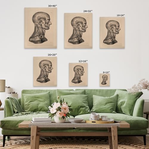 Vintage Science Canvas