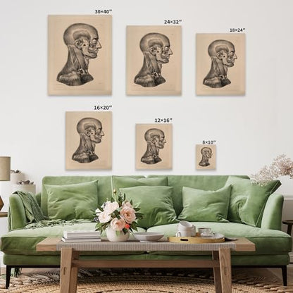 Vintage Science Canvas