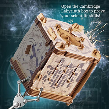Cluebox Cambridge Labyrinth