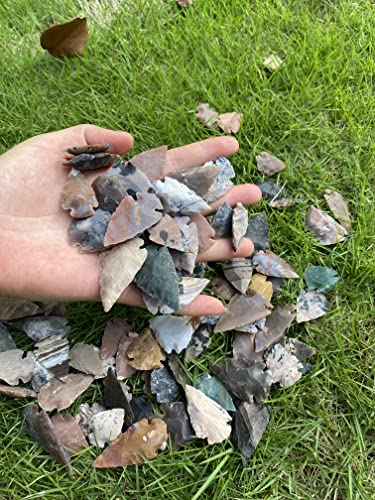 50 PC Lot Flint Arrowhead OH Collection Project Spear DIY Points arrowheads (50 Count)