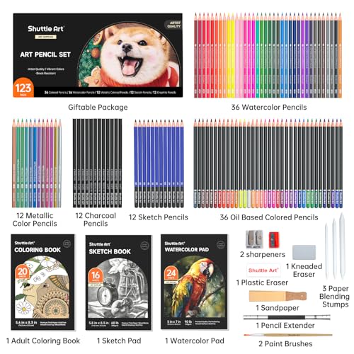 Professional Drawing Kit (123 Count)