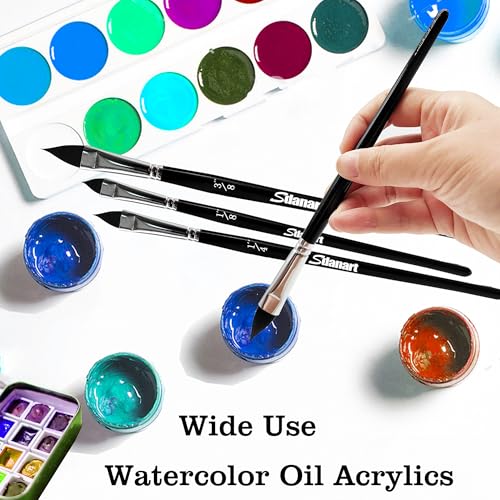 Cat Tongue Watercolor Brushes (4 Count)