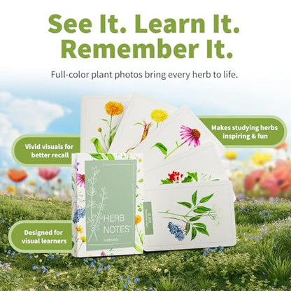 Herb Notes Plant Identification Cards (48 Count)