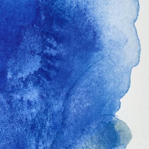 Professional Watercolor