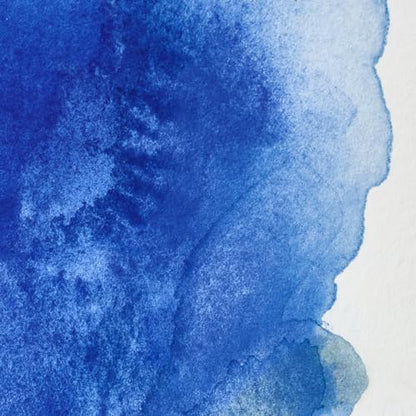 Professional Watercolor