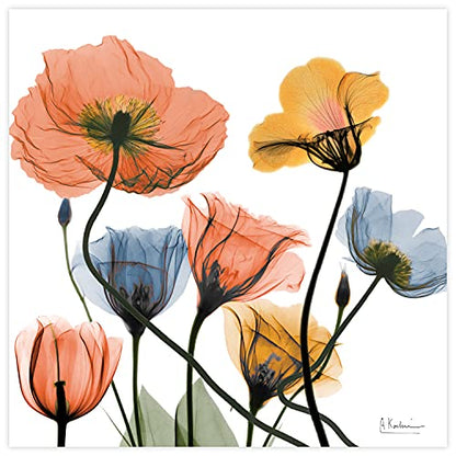 Frameless Free Floating Tempered Glass Panel Graphic Wall Art Ready to Hang