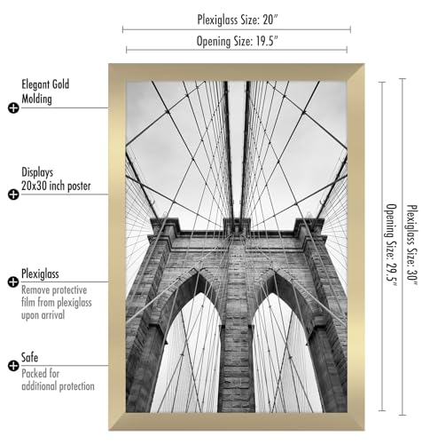 20x30 Poster Frame