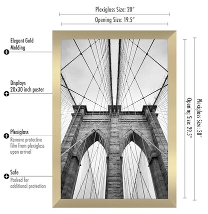 20x30 Poster Frame