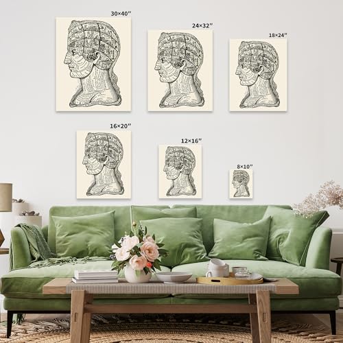 A Symbolic Head Phrenology Print 1899