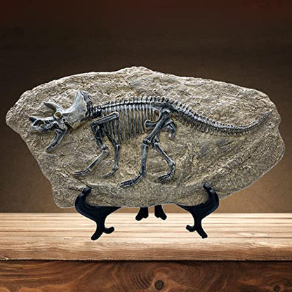 Resin Triceratops Dinosaur Fossil Statue Model Simulated Skeleton Home Office Display Decorative Craft Box Decoration