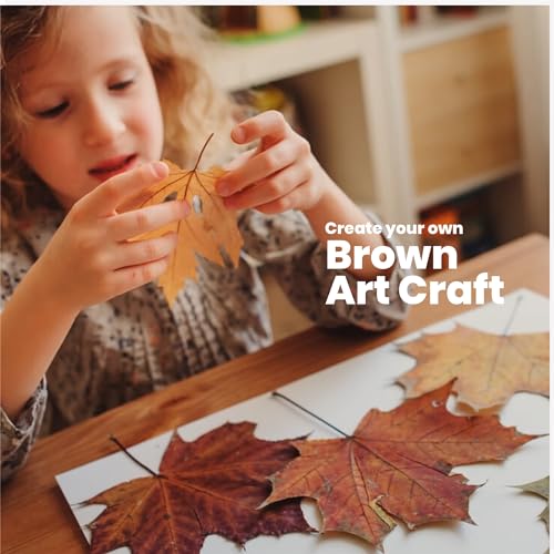 Brown Cardstock Paper 8.5x11 50 Sheets (50 Count)