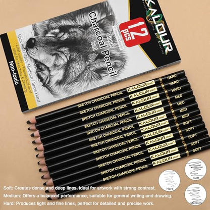 Professional Charcoal Pencils Drawing Set (12 Count)