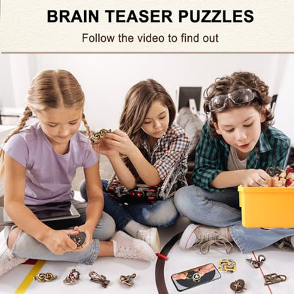 16 PCS Metal & Wooden Brain Teaser Puzzle Set (72 Count)