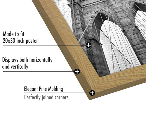 20x30 Poster Frame