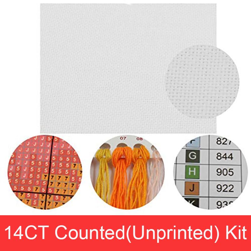 Counted Cross Stitch Kits Full Range of Embroidery Starter Kits for Beginners DIY 14CT Embroidery Kit for Girls