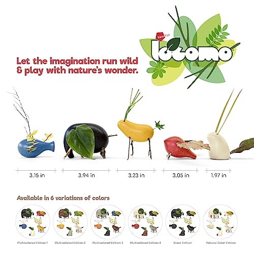 Locomo Family Resources for Learning