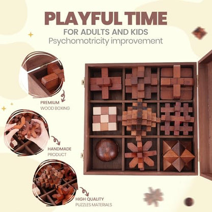 Wooden Brain Teaser Puzzles for Adults Teens (9 Count)