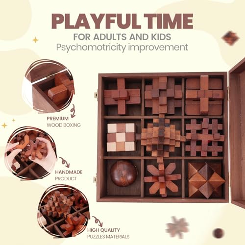 Wooden Brain Teaser Puzzles for Adults Teens (9 Count)
