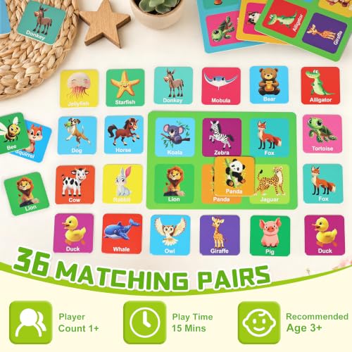 72 PCS Memory Matching Game with Dice