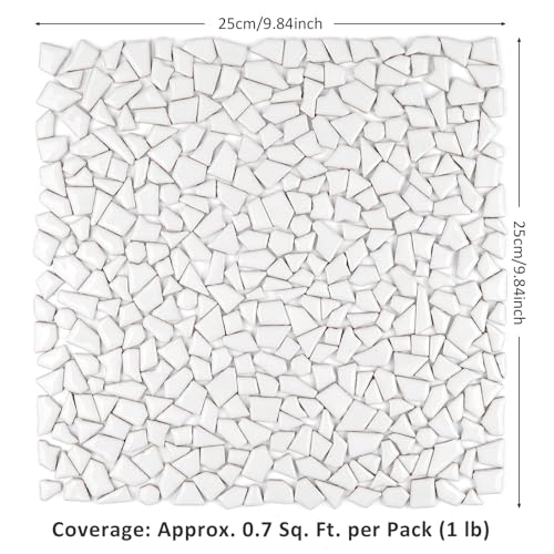 White Ceramic Mosaic Tiles for Crafts