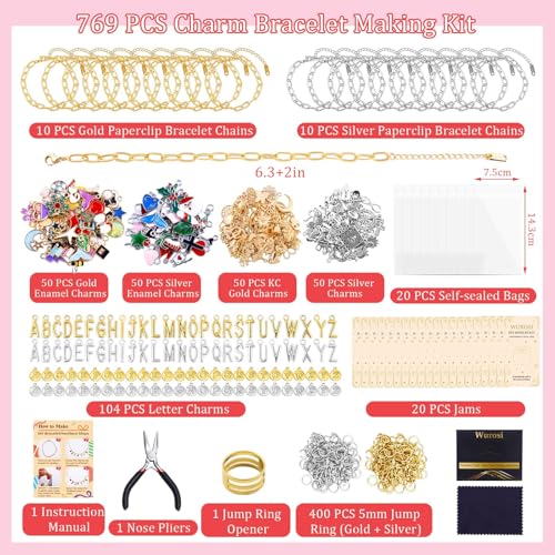 769Pcs Paperclip Charm Bracelet Kit for DIY Christmas Handcraft Gift (769 Count)