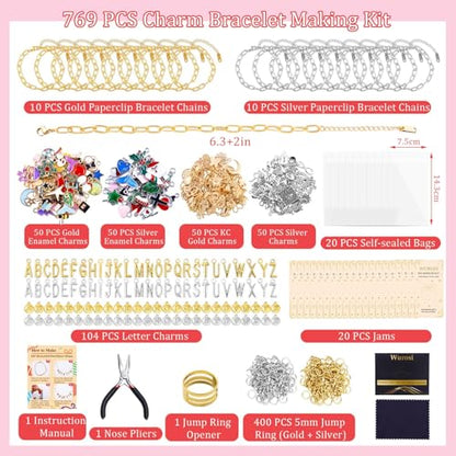 769Pcs Paperclip Charm Bracelet Kit for DIY Christmas Handcraft Gift (769 Count)