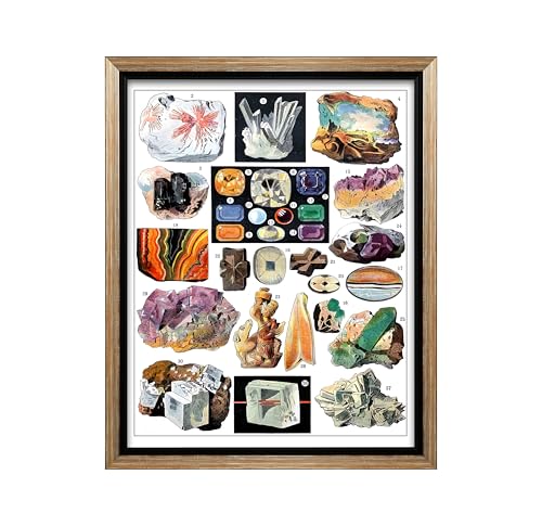 Vintage Geology Canvas
