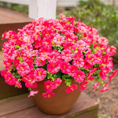 Fake Plants Artificial Flowers for Outdoor Outside Decor (12 Count)