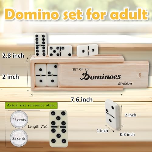 Double Six Dominoes Set for Adults