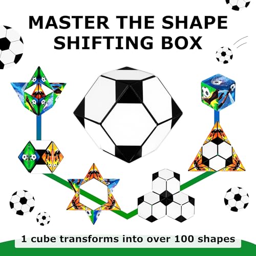 DODECA Magnetic Puzzle Cube